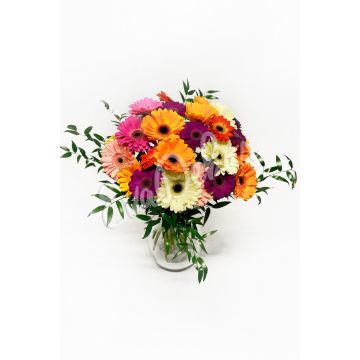 Gerbery a germini mix - Evadekor.cz rozvoz květin