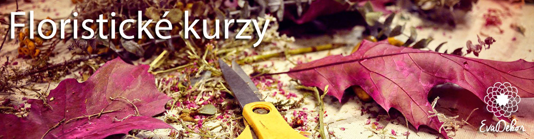 EvaDekor - floristick&eacute; kurzy
